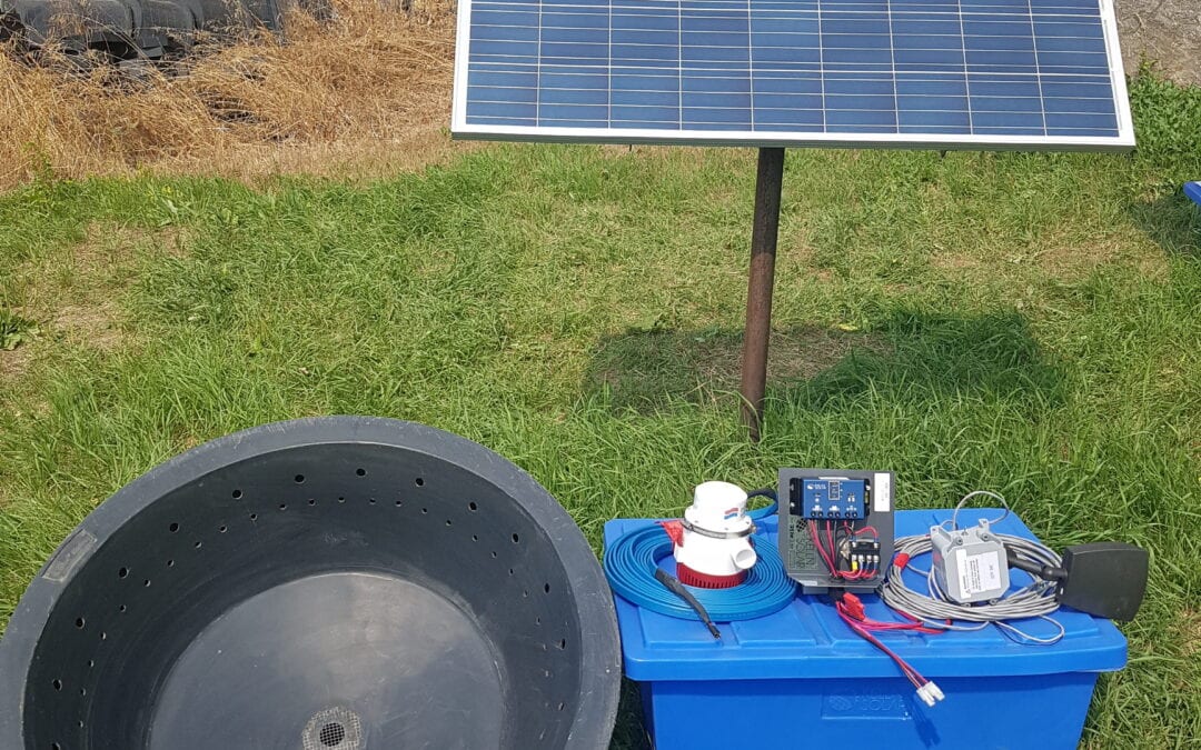 Solar Watering System – What Makes Them a Good Investment